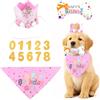 shallyong Compleanno Cane, 4 Pezzi Decorazioni Festa di Cappellino per Cani (Rosa)