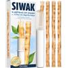 ORINKO® Siwak Naturale x4 con Custodia - Spazzolino Ecologico per Denti - Miswak Africano per Pulizia, Sbiancamento e Igiene Orale - Bastoncini di Araak come Alternativa Sostenibile