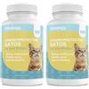VITTALOGY Condroprotettore per gatti. Antinfiammatorio naturale con collagene, condroitina, ialuronico e curcuma. Integratore alimentare per fianchi, articolazioni e cartilagini. 240 capsule