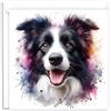 Stag Gallery Biglietto di auguri artistico con motivo cane Border Collie, effetto acquerello, bianco