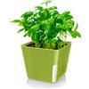 Bomclap Set di 4 vasi per fiori sospesi, fioriere sospese con vaso in melamina, contenitori per piante sospesi per interni esterni soffitti balconi