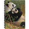 3D LiveLife A New Dynasty Taccuino A6, Spirale, 80 Pagine | Taccuino, diario o album tascabile con copertina raffigurante un panda. Regali e cancelleria di Deluxebase.