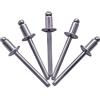 SKIR'CO Rivetti ciechi in acciaio inox, 4,8 x 8 mm, testa a cupola, rivetti pop, DIN 7337, A2 (100, 4,8 x 8 mm)