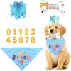 shallyong Set Compleanno Cane, 4 Pezzi Decorazioni Festa di Cappellino per Cani (Blu)