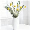 Aufisi Decorazione di eucalipto essiccato, Palline di Fiori secchi Naturali, Decorazione Bohémien per Soggiorno, casa, Matrimonio, vasi, Decorazione da tavola