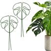 TenaLucy 2 Pezzi Supporto Piante,Pali di Supporto per Piante Sostegno per Piante Monstera Sostegni per Pomodori Supporto per Rampicanti Monstera Grow Gancio Supporto per Pianta Twisty Anelli (Verde)