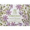 Erbamea Benessere da Gustare Cofanetto Regalo con Infusi, 36 bustine