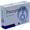 Biogroup Psicophyt Remedy 6b 4 Tubi 1,2 G