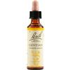 Bach Flower Remedies Gentian N.12 Gocce 20 Ml