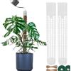 BDHHFAM Asta di muschio auto-irrigabile 2x44cm estendibile per piante interne 80cm in plastica per allenamento piante arrampicata