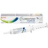 Candioli Farmaceutici Candioli Pharma Florentero Complex Stabilizzatore della digestione Pasta per cani e gatti 30 ml Siringa - Integratori per cani - 1° ORDINE? 20% di sconto SU BRAND ESCLUSIVI, codice BZR20