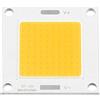 LDKEKDF Aigend Modulo chip LED - Lampadina da pannello LED integrata COB da 50 W adatta per lampadine fai da te Proiettore DC 12~14 V (luce calda) [Classe di efficienza energetica A]