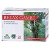 BIOTOBIO Srl Tisana relax gambe 20 g