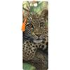 3D LiveLife Segnalibro - Abbraccia-alberi di Deluxebase. Segnalibro Grande Felino dotato di grafica 3D lenticolare realizzata dal rinomato artista Collin Bogle