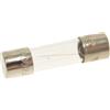 HorecaForniture Fusibile Rapido Ø 5X20 Mm - 10 Pz 3049042