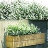 WILLBOND 12 mazzi di arbusti artificiali, fiori finti, arbusti artificiali decorativi per esterni, cespugli artificiali per composizioni floreali, centrotavola, decorazione per la casa e il giardino (bianco)