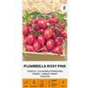 Žalia stotelė Zalia stotele | Pomodori - Semi Plumbrella Rosy Pink | Semi di ortaggi | Semi di pomodoro | Una varietà precoce, piccola e cespugliosa con piccoli frutti croccanti | 1 confezione