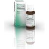 BIOLOGISCHE HEILM. HEEL GMBH HAMAMELIS HOMACCORD*OS GTT30ML