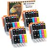 LOSMANN D&C 20x Cartucce compatibili per Canon PGI-550 CLI-551 per Canon Pixma iP7200 IP7250 iP8750 iX6850 MG5450 MG5550 mg5655 MG5450 MG6350 MG6450 mg7100 MG7150 MG7550 MX725 MX925