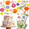 Celblisora 96 Pezzi 8 Tipi di Fiori Naturali Essiccati e Pressati, Commestibili per Decorare Torte - Mix Viola Multicolore per Cocktail, Artigianato Fai-da-te