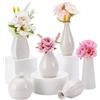 NBEADS 6 Mini Vaso per Fiori in Ceramica, 6 Stili Arredamento Rustico Vaso Arredamento Moderno per Casa Colonica Bianco Pianura Piccoli Vasi per Piccole Piante Decorazione Floreale, 4.3~6.5x7~10cm