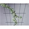 Siena Garden Steinbach, Graticcio per Rose, 51000, 150 x 75 cm