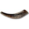 Markenlos Kosher Polished Ram's Horn Shofar from Israel Jerusal 12 ′′ - 14′′ / 30 cm - ...
