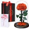 Touloube Festa della Mamma Rosa Stabilizzata Vera Regalo Donna in Cupola Vetro - Regalo di San Valentino, Donna Regalo Compleanno, Rosa Eterna Idee Regalo Mamma Moglie Fidanzata Nonna, per Anniversario