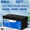 EASUN POWER Batteria EASUN LiFePO4 12V 24V 100Ah 300Ah Litio Ferro Fosfato con BMS Integrato 6000+ Cicli per Inverter Solare Camper Senza Tasse