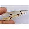 14.60 CT Naturale Tanzania Ambra Fossil Insect Inclusione Cabo Certificato Gemma