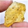 16.55 CT Naturale Tanzania Ambra Fossil Insetto Inclusione FACET Certificato