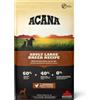 AMICIBAU Acana Adult Large Breed Ricetta Grain Free - 11,4 kg