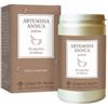 DR.GIORGINI SER-VIS SRL Artemisia Annua Polvere 180 G