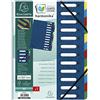 Exacompta Trieur harmonika a fenetres avec elastiques nature future carte lustree 12 compartiments
