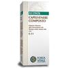 FORZA VITALE ITALIA SRL CAPELVENERE COMP 50ML ECOSOL