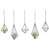 SZRUIZFZ Tillandsia - Supporto per piante aeree, geometrico, nero, da appendere, unico per decorazione da parete, Xerographica Air Plant Hanger per interni, decorazione geometrica Himmeli (5 pezzi)