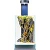 WabiFlur Terrario Stabilizzato Creus in Vetro Extrachiaro con luce led e supporto, completi di Fiori Stabilizzati Arredo Naturale Elegante Senza Manutenzione per Casa, Ufficio e Idee Regalo Green