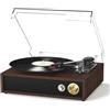 FYDEE Giradischi, Giradischi Vinili 33/45/78 Giri con Bluetooth Bidirezionale, USB per Registrazione e Riproduzione, RCA, Altoparlanti Stereo e Coperchio Protettivo, Nero