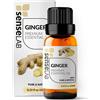 SenseLAB Olio essenziale di Zenzero Indiano - Olio di Zenzero Terapeutico Naturale e Puro al 100% per diffusore di Aromaterapia - Olio per Massaggi e Cura Dei Capelli - (10 ml)