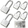 YYMT Set 6 Pezzi Lucchetti di Sicurezza con Chiavi - 4x30mm Archetto Corto + 2x40mm Archetto Lungo, lucchetto resistente con 12 Chiavi (2 per Lucchetto) per Cancelli, Garage, Magazzino, Recinzioni, Armadi