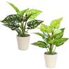 GBKDQQ Set di 2 piante artificiali, piante artificiali come autentiche 28 cm, piante finte, piante di plastica come autentiche in vaso bianco, pianta finta per balcone, camera, soggiorno, stanza