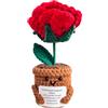 KIAYOO Regalo Rosa, Decorazioni da Scrivania per Casa e Ufficio, Pocket Hug Positive Fiori all'Uncinetto Regalo per Lui Lei Uomini Donne Amici Fidanzato Compleanno Natale San Valentino