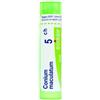 Boiron Conium Maculatum 5CH Rimedio Omeopatico in Granuli, 4g