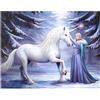 Spirit of Equinox AS_36926 - Targa in tela, motivo: Pure Magic di Anne Stokes, altezza 19 x larghezza 25 x profondità 1,4 cm, confezione da 1, multicolore
