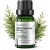AMYRON Olio Essenziale Thuja AMYRON 15ml |Thuja occidentalis L. | Arborvitae | 100% Puro e Naturale | Ideale per Aromaterapia | Diffusore Oli Essenziali e Massaggi Aromatici | Uso Alimentare | Senza OGM