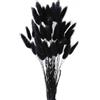 IOPJLK 50 Pezzi Erba Pampas Nera Secca Naturale Decorazione Boho per Salotto Bouquet di Fiori Secchi per Vaso Vaso da Terra 25 a 40 cm Lunghezza DIY