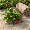 UNIGARDIA Tappetino ecologico in lana di pecora, 80 x 500 cm, protezione invernale in lana di pecora per piante, 100% lana di pecora biologica, tessuto non tessuto invernale per piante da vaso