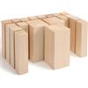 BeaverCraft Blocchi per intaglio in tiglio Kit per intaglio del legno da 19 pezzi Blocchi di legno non finiti BW19