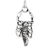 NKlaus Ciondolo Scorpione 3,4cm Argento 925 Amuleto Scandinavo Vichingo 3982