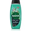 Radox Feel Invigorated Feel Invigorated 450 ml